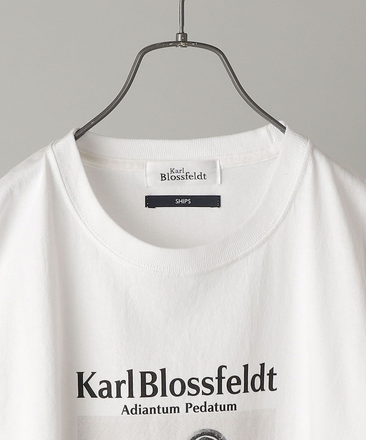 SHIPS: Karl Blossfeldt フォト プリント Tシャツ: Tシャツ/カットソー