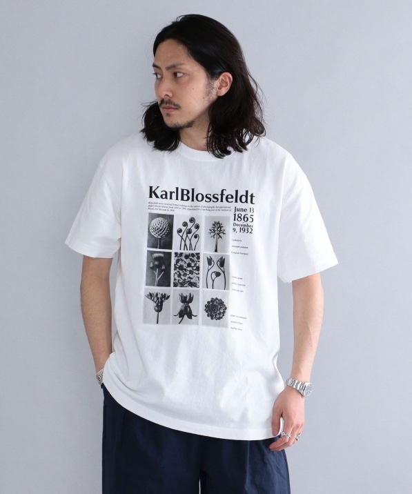 SHIPS: Karl Blossfeldt フォト プリント Tシャツ: Tシャツ/カットソー