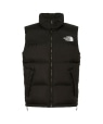 THE NORTH FACE: Nuptse Vest / kvV _E xXg 24FW ubN