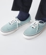 ySHIPS EXCLUSIVEz: AUTHENTIC BINDING GRAY CgO[