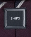 SHIPS: VN Ch XgCv lN^C