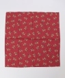 ROCKMOUNT: USA BANDANAS bh