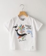 SHIPS Colors:q@\rpb`[N vg TEE(80`130cm) zCg