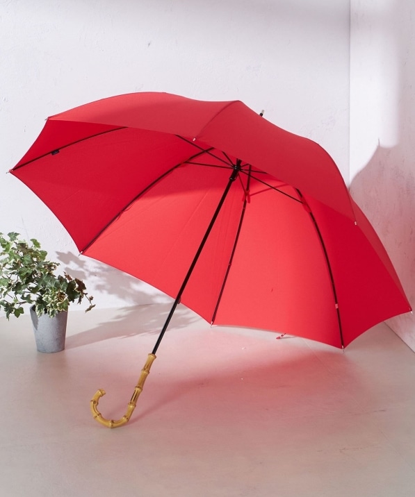 傘 - 傘