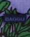 BAGGU:X^_[h IW