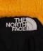 THE NORTH FACE :DENALI ETIP t[X O[u